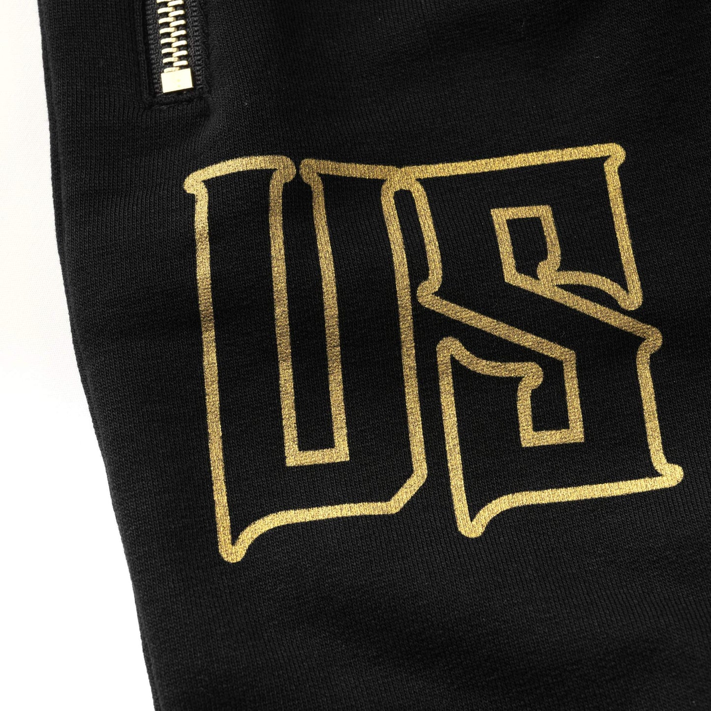 LION II Men's sweatpants