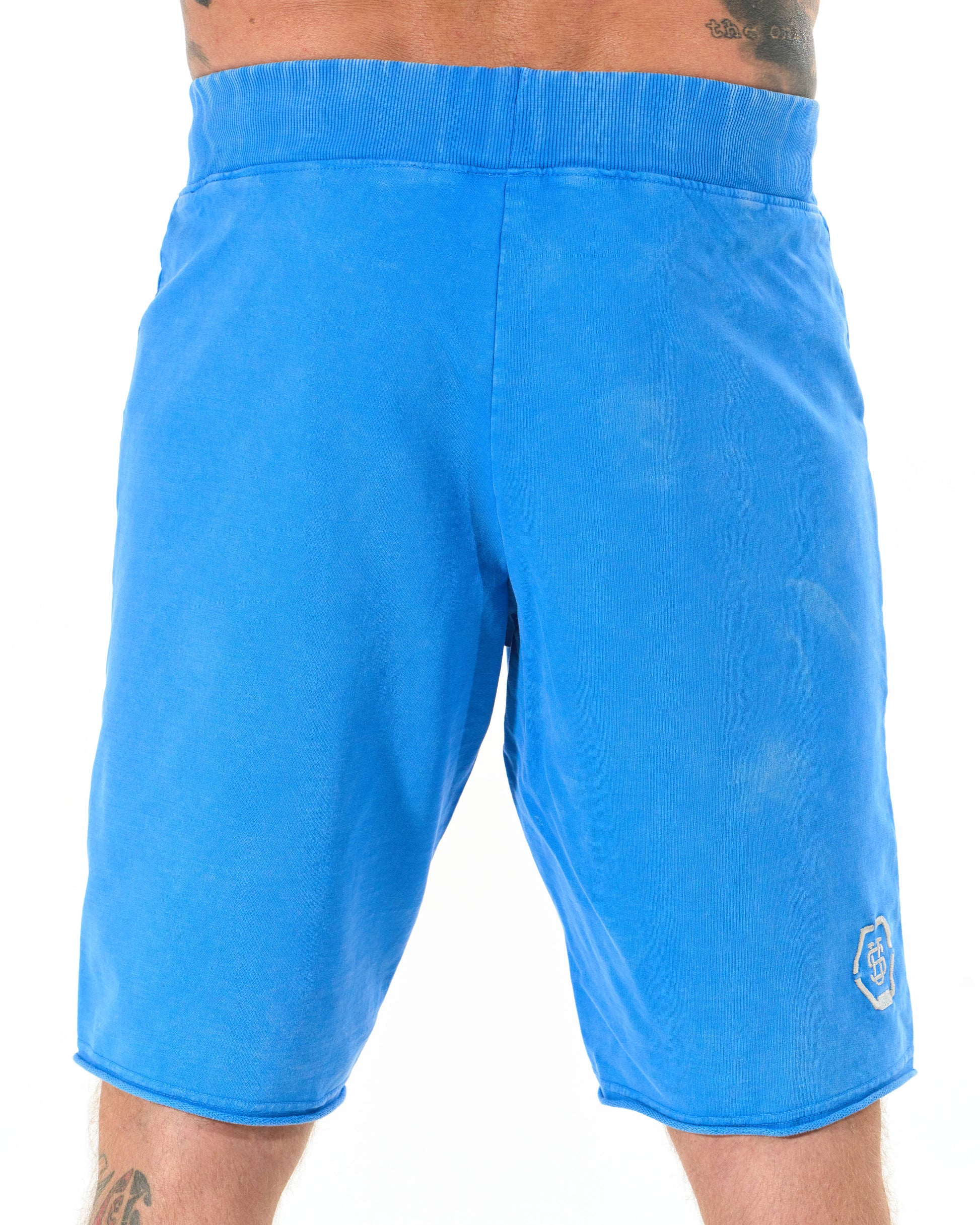 RALPH Men's Shorts BLUE