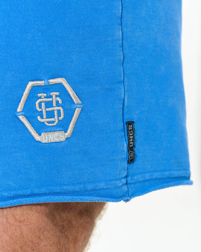RALPH Men's Shorts BLUE