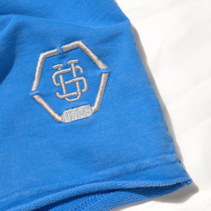 RALPH Men's Shorts BLUE