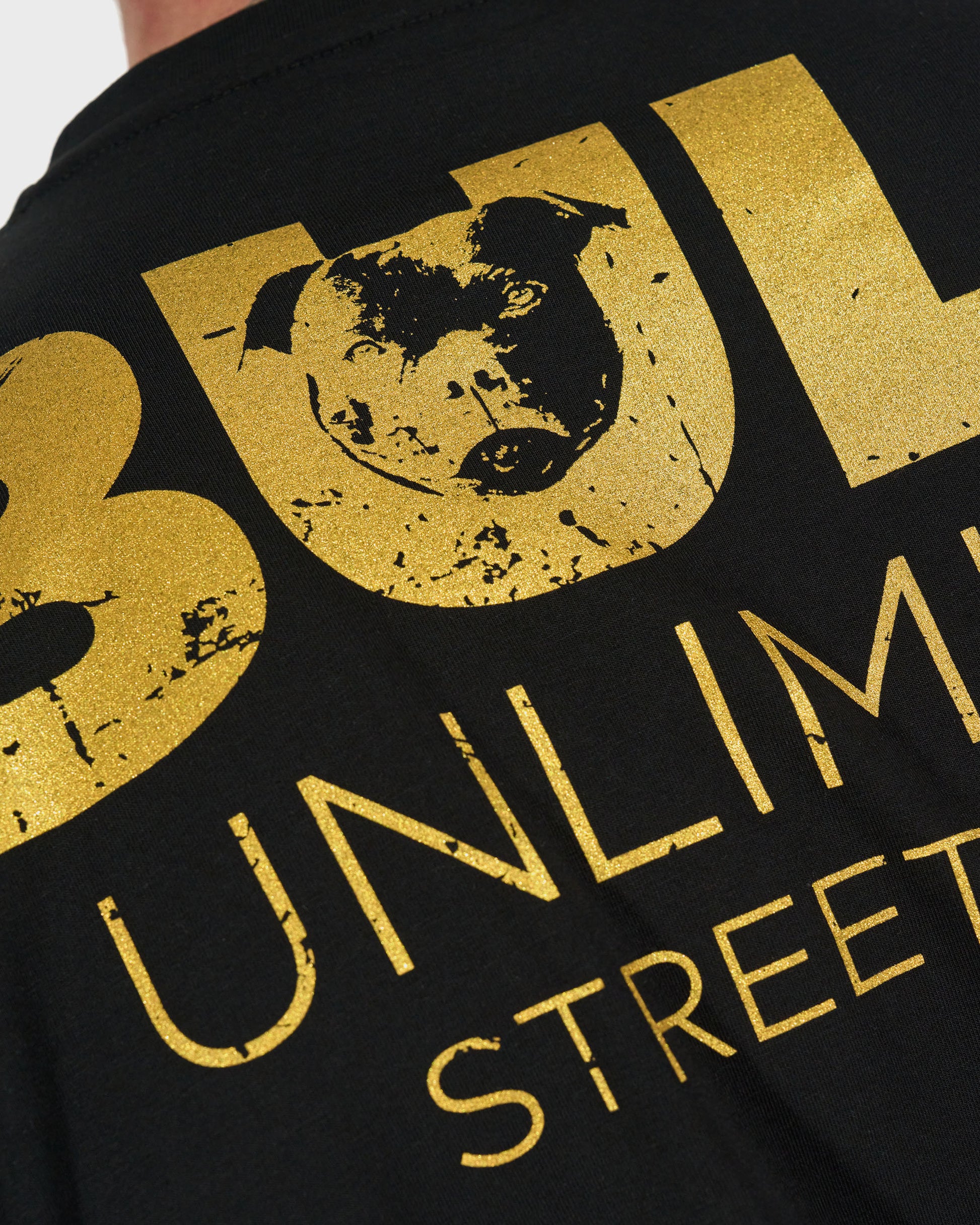 BULL II Men's T-Shirt BLACK