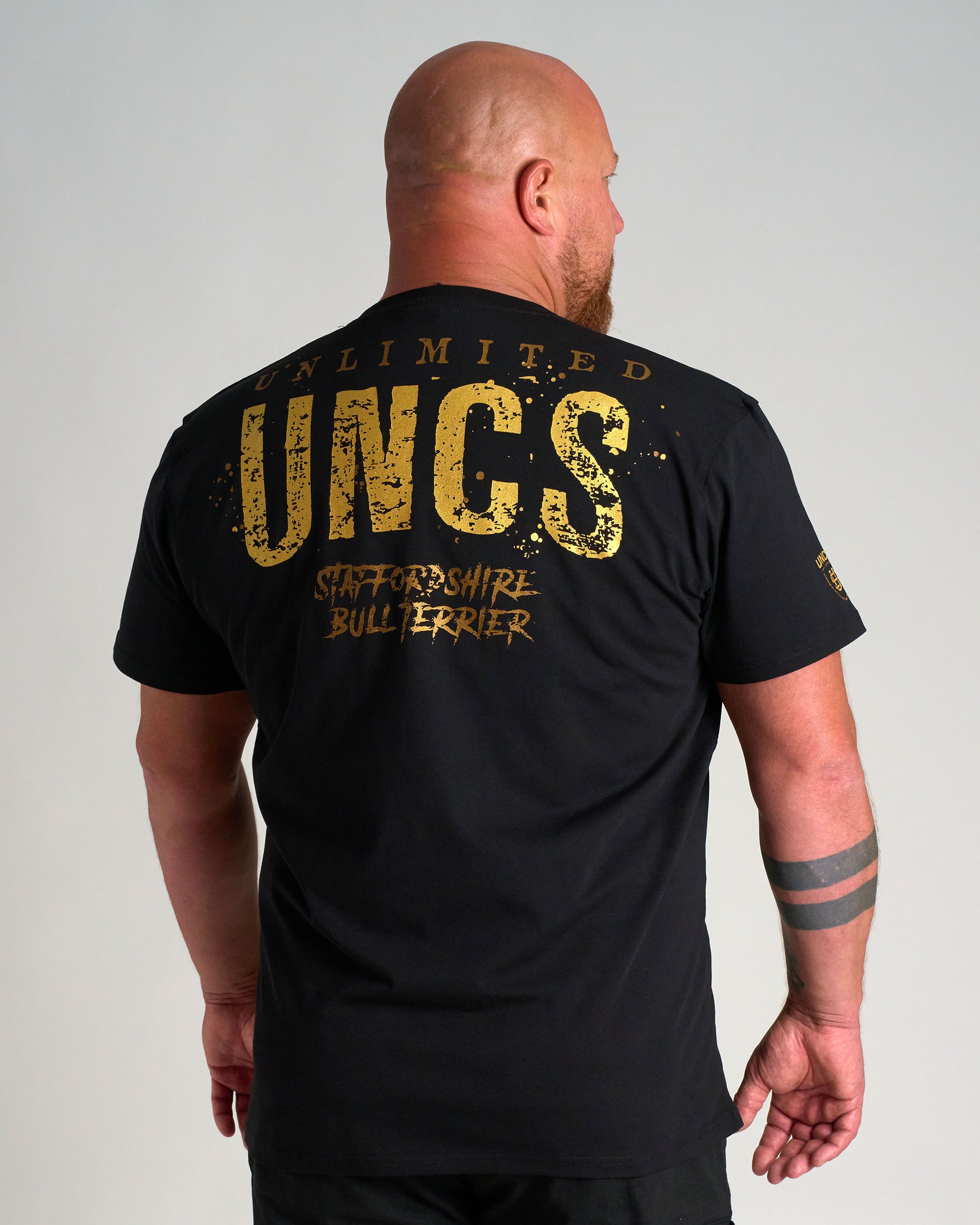 BULL TERRIER III Men's T-Shirt BLACK/GOLD
